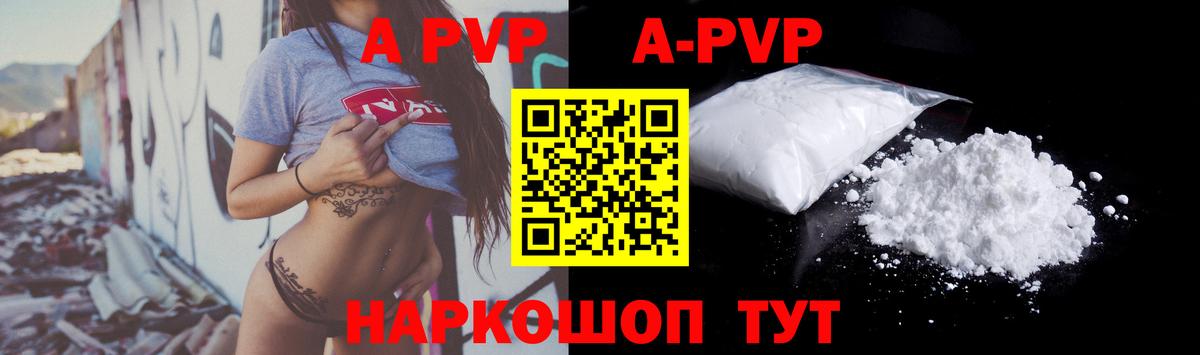 Альфа ПВП СК Дальнегорск