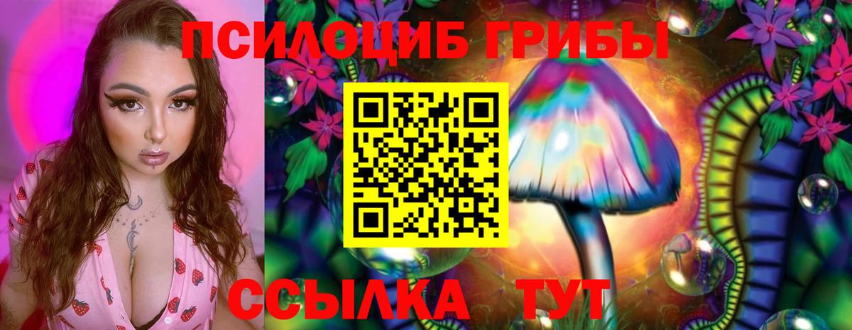 Галлюциногенные грибы MAGIC MUSHROOMS Дальнегорск
